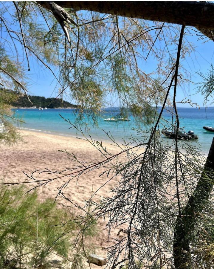 Le Lavandou "Cavaliere" -Rez De Jardin Bord De Mer , Atom Bagian luar foto